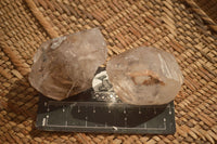 Natural Gorgeous Clear / Smokey Window Brandberg Quartz Crystals x 12 From Brandberg, Namibia