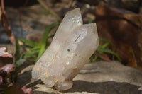 Natural Large Multi Terminated Quartz Crystal Point x 1 From Angola