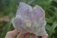 Natural Jacaranda Amethyst Clusters  x 3 From Mumbwa, Zambia - Toprock Gemstones and Minerals 