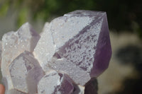 Natural Jacaranda Amethyst Clusters  x 2 From Zambia - Toprock Gemstones and Minerals 