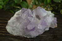 Natural Jacaranda Amethyst Clusters  x 2 From Zambia - Toprock Gemstones and Minerals 