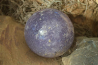 Polished Purple Lepidolite Spheres  x 2 From Madagascar