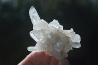 Natural Clear Quartz Clusters  x 12 From Zambia - Toprock Gemstones and Minerals 