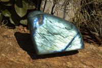 Polished Labradorite Standing Free Forms With Intense Blue & Gold Flash x 3 From Sakoany, Madagascar - TopRock