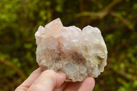 Natural Mixed Spirit Quartz Clusters  x 12 From Boekenhouthoek, South Africa - TopRock