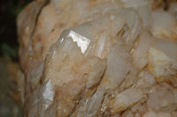 Natural Extra Large White Phantom Pineapple Quartz Cluster  x 1 From Madagascar - Toprock Gemstones and Minerals 