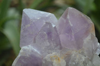 Natural Jacaranda Amethyst Clusters  x 3 From Mumbwa, Zambia - Toprock Gemstones and Minerals 