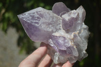 Natural Jacaranda Amethyst Clusters  x 2 From Zambia - Toprock Gemstones and Minerals 