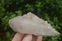 Natural Hematoid Quartz Specimens  x 4 From Zimbabwe - TopRock