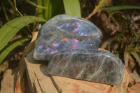 Polished Rare Purple Flash Labradorite Standing Free Forms x 2 From Tulear, Madagascar