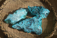 Natural Malacholla (Malachite & Chrysocolla) Specimens  x 3 From Congo