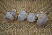 Natural Single Spirit Cactus Quartz Crystals  x 24 From Boekenhouthoek, South Africa - Toprock Gemstones and Minerals 