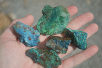 Natural Highly Selected Shattuckite Specimens  x 23 From Kaokoveld, Namibia - Toprock Gemstones and Minerals 