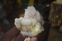 Natural Spirit Amethyst Spirit Quartz Clusters  x 12 From Southern Africa - Toprock Gemstones and Minerals 