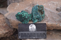 Natural Chatoyant Silky Malachite Specimens  x 12 From Kasompe, Congo