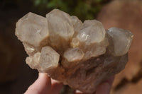 Natural Cascading Smokey Quartz Clusters x 3 From Luena, Congo