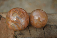 Polished Flashy Peach Moonstone Spheres  x 6 From Madagascar - Toprock Gemstones and Minerals 