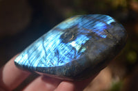 Polished Flashy Labradorite Standing Free Forms  x 3 From Tulear, Madagascar