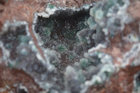 Natural Drusy Coated Ball Malachite On Dolomite Specimen x 1 From Likasi, Congo