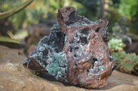 Natural Drusy Coated Ball Malachite On Dolomite Specimen x 1 From Likasi, Congo