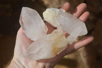 Natural Clear Quartz Clusters & Crystals  x 12 From Madagascar