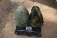 Polished Spotted Leopard Stone Standing Free Forms  x 6 From Zimbabwe - Toprock Gemstones and Minerals 