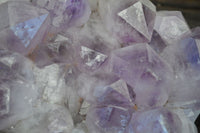 Natural Jacaranda Amethyst Cluster x 1 From Zambia - Toprock Gemstones and Minerals 