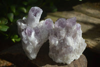 Natural Sugar Amethyst Clusters  x 12 From Zambia - Toprock Gemstones and Minerals 