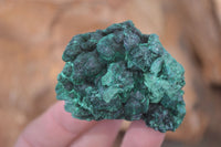 Natural Chatoyant Silky Malachite Specimens  x 12 From Kasompe, Congo