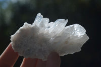 Natural Clear Quartz Clusters  x 12 From Zambia - Toprock Gemstones and Minerals 