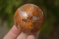 Polished Flashy Peach Moonstone Spheres  x 6 From Madagascar - Toprock Gemstones and Minerals 