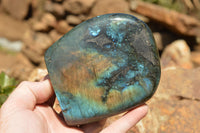 Polished Labradorite Standing Free Forms With Intense Blue & Gold Flash x 3 From Sakoany, Madagascar - TopRock