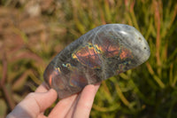 Polished Rare Purple Flash Labradorite Standing Free Forms x 2 From Tulear, Madagascar