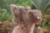 Natural Red Hematoid Quartz Specimens x 2 From Karoi, Zimbabwe - TopRock