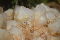 Natural Extra Large White Phantom Pineapple Quartz Cluster  x 1 From Madagascar - Toprock Gemstones and Minerals 