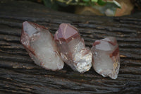 Natural Red Hematoid Quartz Specimens x 12 From Karoi, Zimbabwe