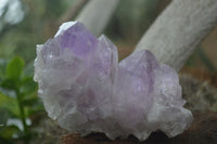 Natural Jacaranda Amethyst Clusters  x 3 From Mumbwa, Zambia - Toprock Gemstones and Minerals 