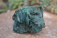 Natural Chatoyant Silky Malachite Specimens  x 12 From Kasompe, Congo