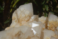 Natural Extra Large White Phantom Pineapple Quartz Cluster  x 1 From Madagascar - Toprock Gemstones and Minerals 