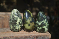 Polished Spotted Leopard Stone Standing Free Forms  x 6 From Zimbabwe - Toprock Gemstones and Minerals 