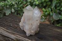 Natural Large Multi Terminated Quartz Crystal Point x 1 From Angola