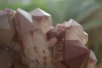 Natural Red Hematoid Quartz Specimens x 2 From Karoi, Zimbabwe - TopRock