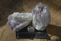 Natural Sugar Amethyst Clusters  x 12 From Zambia - Toprock Gemstones and Minerals 