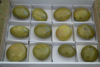 Polished Green Opal Palm Stones  x 12 From Antsirabe, Madagascar - Toprock Gemstones and Minerals 