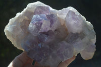 Natural Jacaranda Amethyst Clusters  x 2 From Zambia - Toprock Gemstones and Minerals 