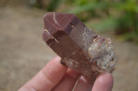 Natural Red Hematoid Quartz Specimens x 12 From Karoi, Zimbabwe