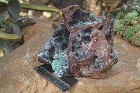 Natural Drusy Coated Ball Malachite On Dolomite Specimen x 1 From Likasi, Congo