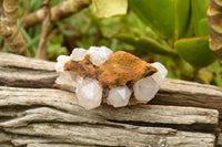 Natural Mixed Spirit Quartz Clusters  x 12 From Boekenhouthoek, South Africa - TopRock