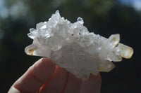 Natural Clear Quartz Clusters  x 12 From Zambia - Toprock Gemstones and Minerals 