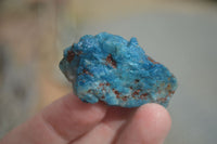 Natural Highly Selected Shattuckite Specimens  x 23 From Kaokoveld, Namibia - Toprock Gemstones and Minerals 